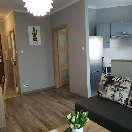 Apartament Edelmana Apartment Gorzow Wielkopolski Ngoại thất bức ảnh